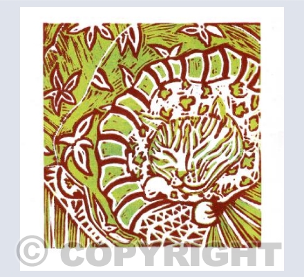 Leopard print cat