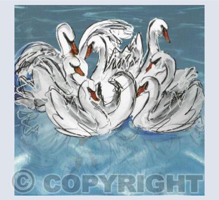 Seven Swans a Swimming