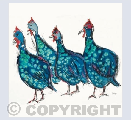 A Confusion Of Guineafowl 