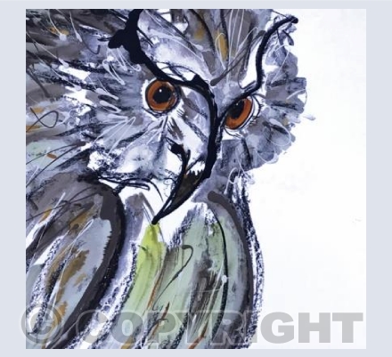 Member of Parliament 