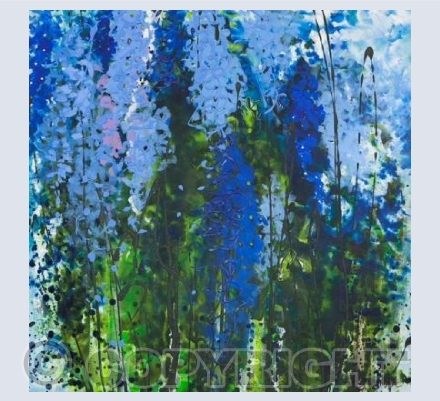 Delphiniums 