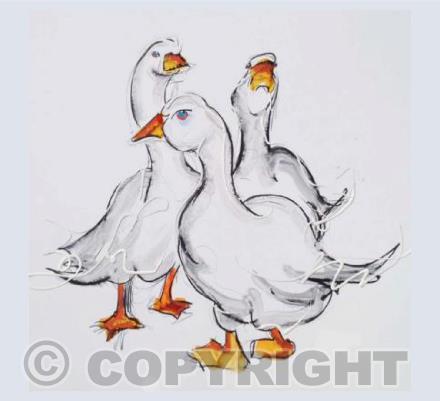 TRIO