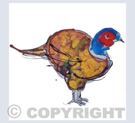 PHEASANT