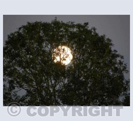 Full moon, Avebury
