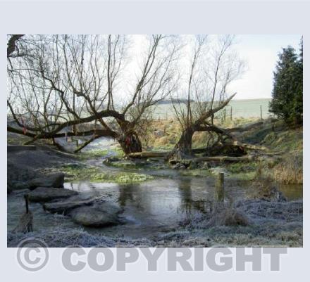 Swallowhead Springs