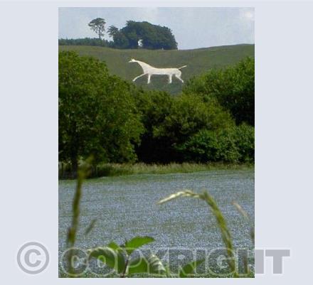 Cherhill White Horse
