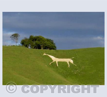 Cherhill White Horse