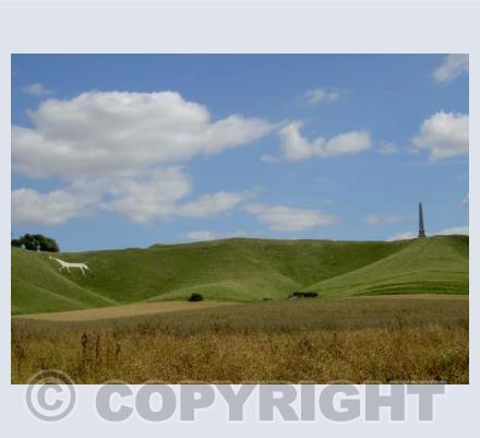 Cherhill Horse and Monument