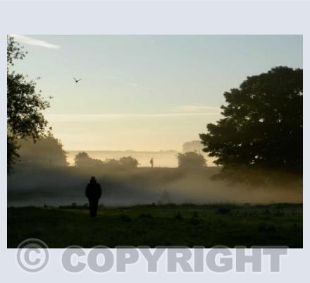 Summer Solstice Sunrise