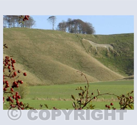 Cherhill Chalk Horse