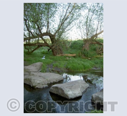 Swallowhead Springs