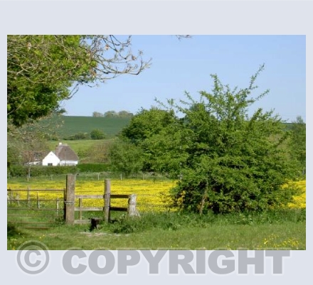 WIltshire Cottage