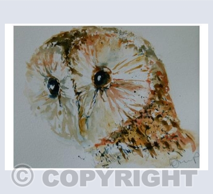The tawny owl