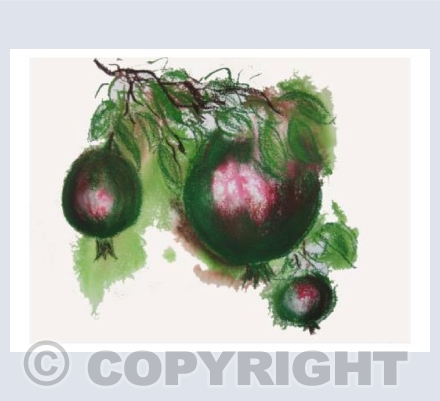 Pomegranites