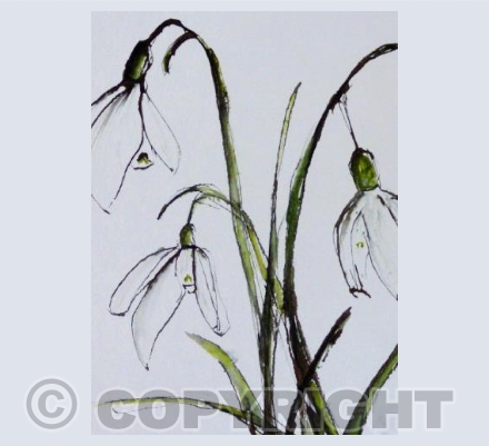 Winter Wonders