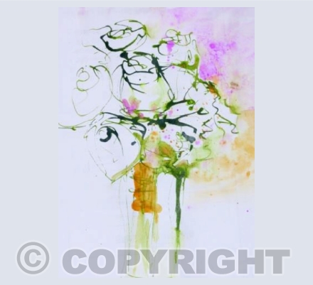 Wonderful white roses