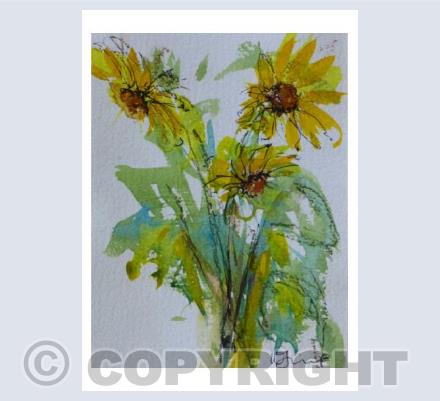 Morning sunflowers