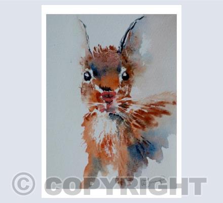 The red squirrel on Brownsea