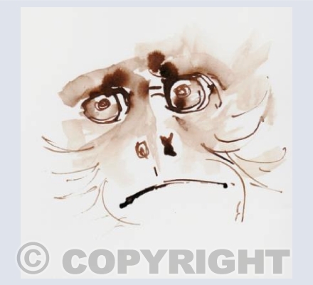 The happy capuchin