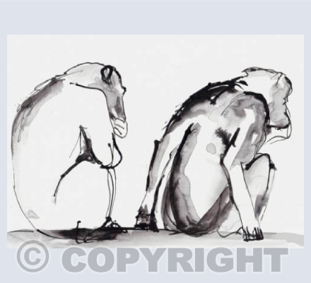 Chimp meeting