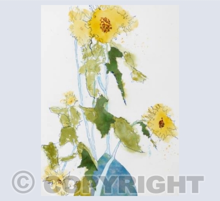 Fading sunflowers in blue vase