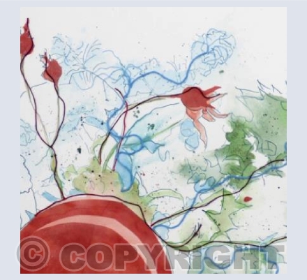 Rose hips & holly