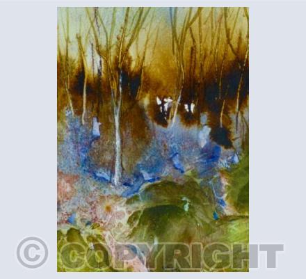 Wandering through the wood