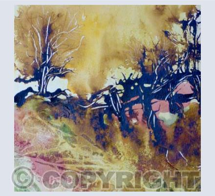 Morning Hedgerow