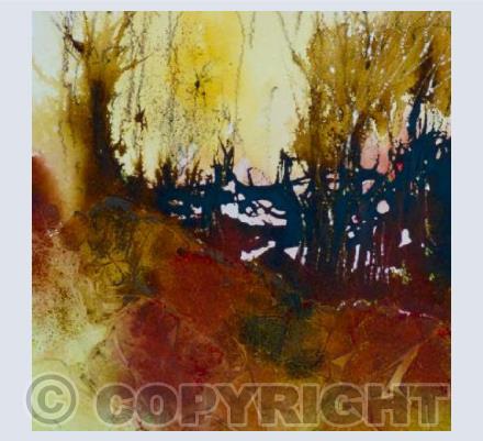 Sun light through the hedge