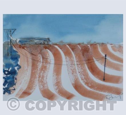 Dorset farmland