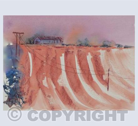Dorset farmland 2