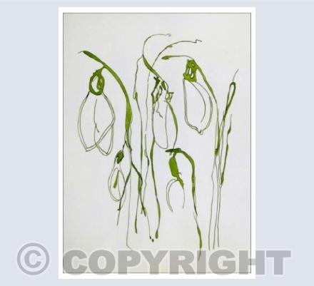 Magical Snowdrops