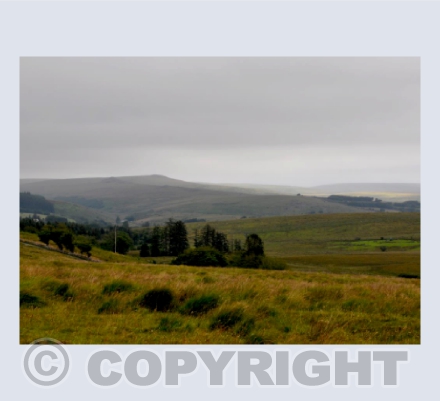 Tor Royal, Dartmoor.