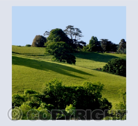 Wolborough Hill