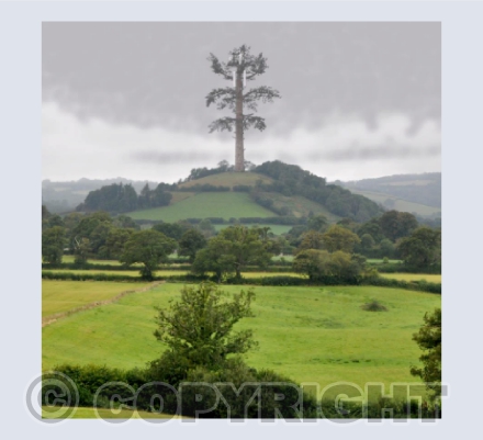Landscape with good reception
