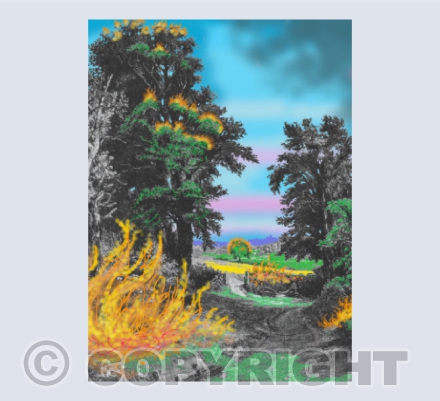 Constable Aflame