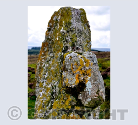 Bennet's Cross 1, Dartmoor