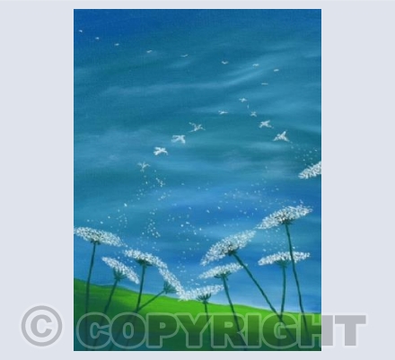 Cow Parsley