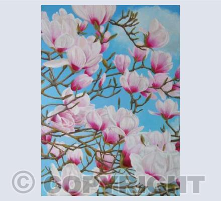 Magnolias