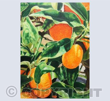 Lorraine's Oranges