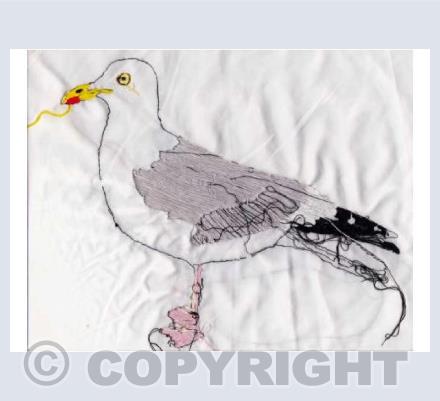 Seagull