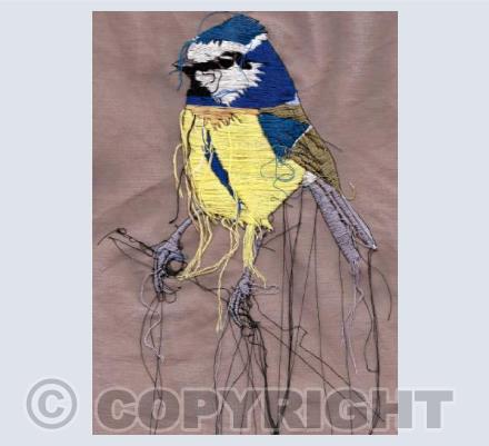 Blue Tit