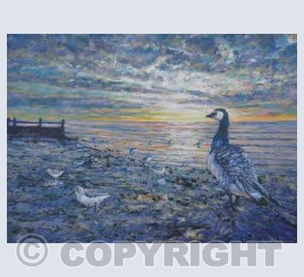 Goose and waders at dawn.