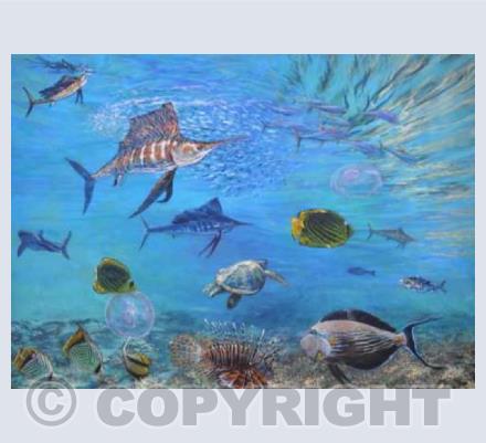 Coral seas 