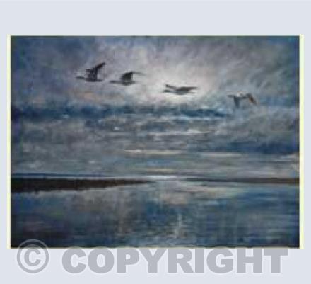 Silver evening light 