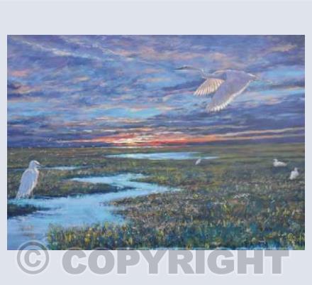 White egrets