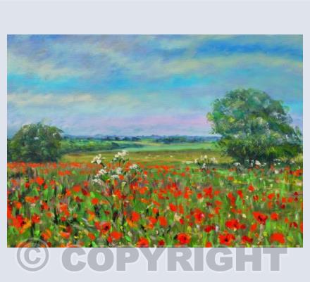 Lincolnshire poppies