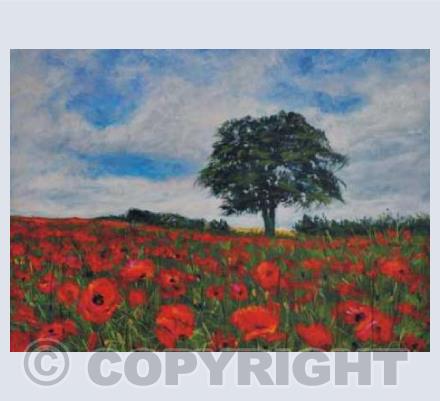 Poppies sentinal