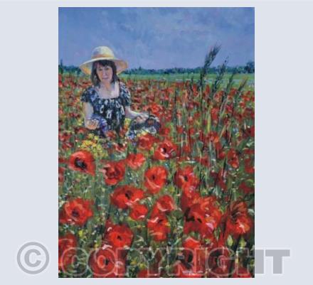 A rose amongst poppies