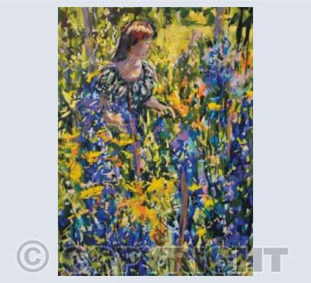 Sunny afternoon in Delphiniums